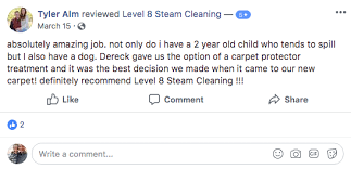 reviews level 8 steam cleaning