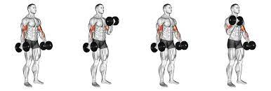 biceps workout at home with dumbbells
