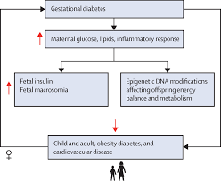 gestational diabetes opportunities for