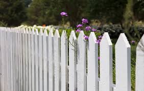 Sustainable Fences For Home And Garden