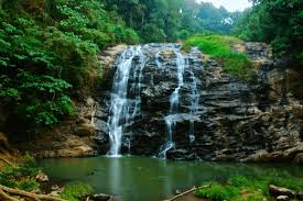 bangalore to coorg taxi service at