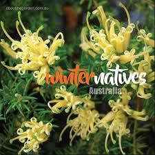 Winter Australian Natives About The