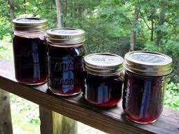 making blackberry jelly the old time