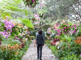 15 breathtaking botanical gardens to