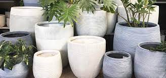 Decorative Plant Pots In
