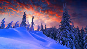 snow trees red clouds sky snowy