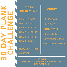 30 day plank challenge