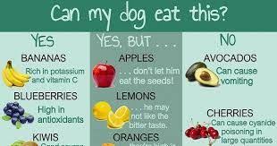Foods Dogs Cant Eat Chart Google Search Dos Dont 4