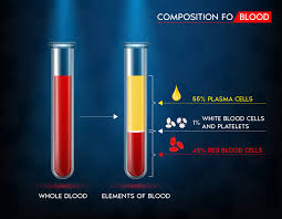 blood red blood cell plasma