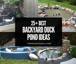 Awesome Diy Backyard Duck Pond Ideas