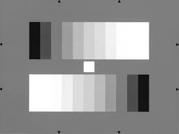 Grayscale Monochromatic Colour Camera Color Theory True