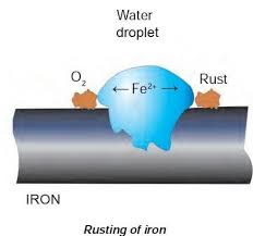Corrosion Rusting Rancidity Oxidation