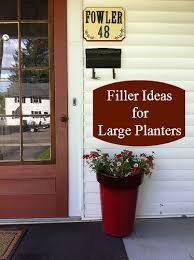 filler ideas for large planters