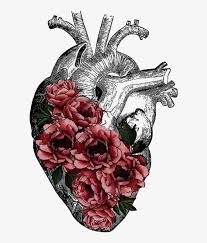 Starting from the center point of the flower, draw a curved line projecting downwards. Replace Veins With Tree Roots Anatomy Art Heart Anatomy Human Heart Flowers Drawing Transparent 641x929 Png Download Pngkit