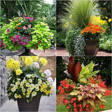 Container Garden Planting Lists