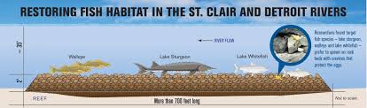 New Spawning Reefs To Boost Native Fish In St Clair River