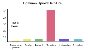 How Long Do Opiates Opioids Stay In Your System Blood