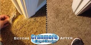 services cranmore carpet cleaning llc