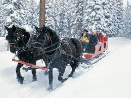 50 things to do in durango this winter