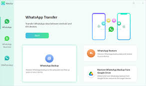 full ways to backup whatsapp messages