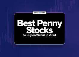 best penny stocks to on webull in