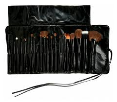 makeover professional brush set