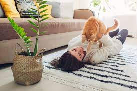 best carpets for pets carpet to go