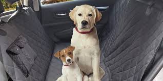 The Best Dog Car Seat Covers In 2021