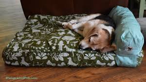 mutts molly mutt dog bed review