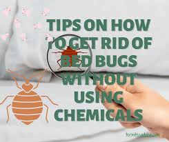 non chemical bed bug treatments home