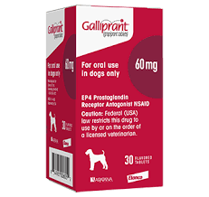Galliprant For Pain Relief From Canine Oa Elanco Us