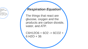 Reactants Are Glucose And Oxygen For