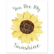 sunflower collection wall art prints