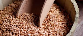 what is farro nutrition facts how