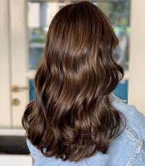 In other words, ash brown is brown hair color with a blueish undertone. 7 Best Ash Brown Hair Dye In 2021 Silqy