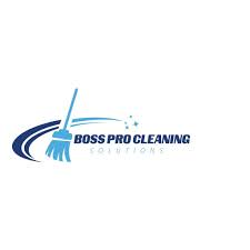 boss pro cleaning solutions l l c