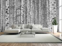 Black And White Birch Tree Wallpaper