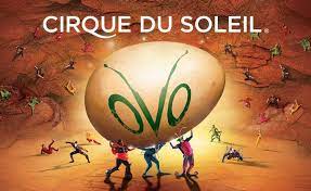 cirque du soleil s ovo is coming to