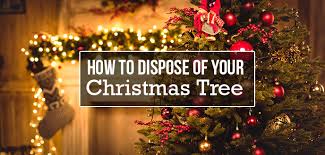 to dispose of your christmas tree