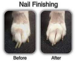 nail trims and nail finishing