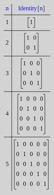 ideny matrix rosetta code