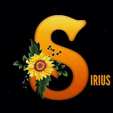 Sirius - Bandolera unisex Medidas: 28 cm de alto x 25 cm... | Facebook