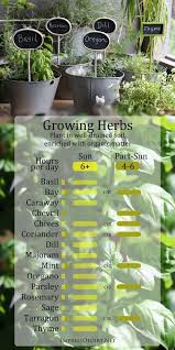 Growing Herbs In Sun And Part Shade Plants Herb Garden