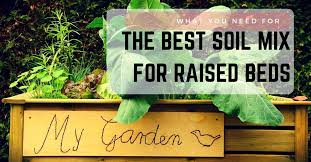best soil for raised beds step by