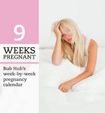 9 Weeks Pregnant Week By Week Pregnancy Calendar Bub Hub