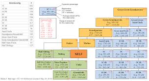 Explain Cousins Chart Genealogy Relationship Chart
