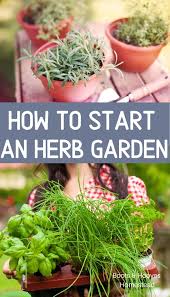 herb gardening for beginners in 2020