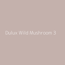dulux colour tester wild mushroom 3