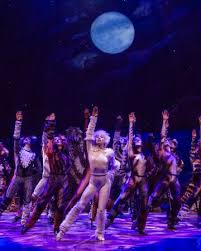 Some may be featured a little more. Jellicle Ball Cats Musical Wiki Fandom