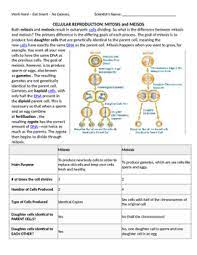 These questions can be used for the preparation of all the competitive examinations in biology / life sciences such as csir jrf net, icmr jrf, dbt bet jrf, gate and other university ph.d entrance examinations. Mitosis And Meiosis Worksheets Teaching Resources Tpt